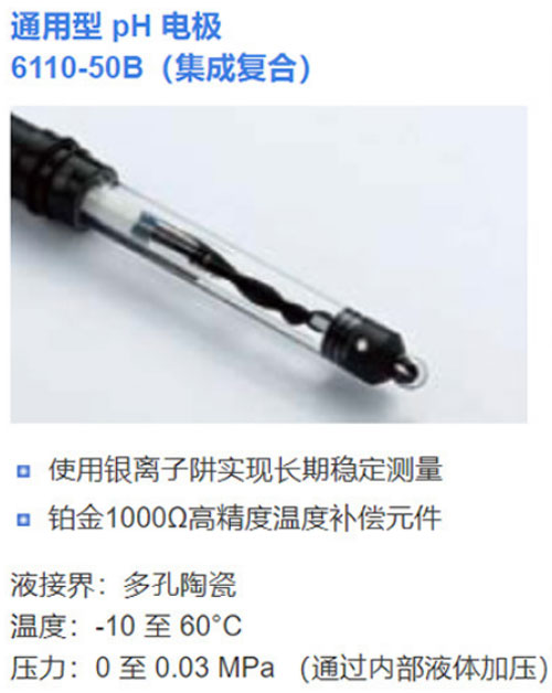 6110-50B通用PH复合电极