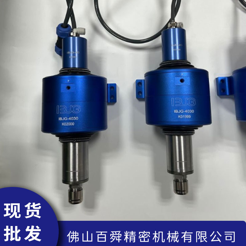 IBJG-4030- IBJG-4030-